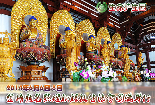 ����������� jpg.jpg