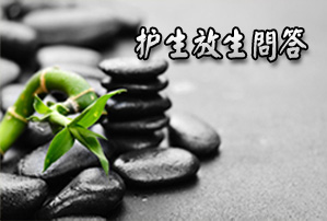 ���������ʴ�