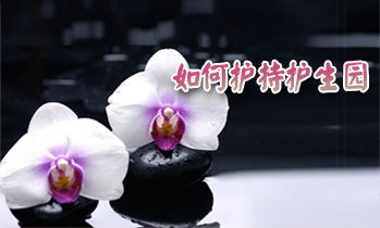 ��������԰