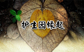 ����԰Ե��