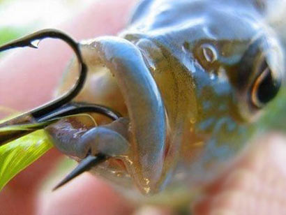 ���綯���˵��...