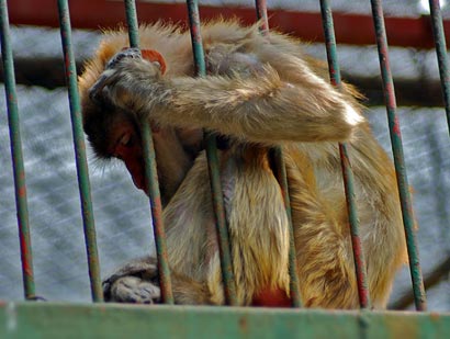 ���綯���˵��...